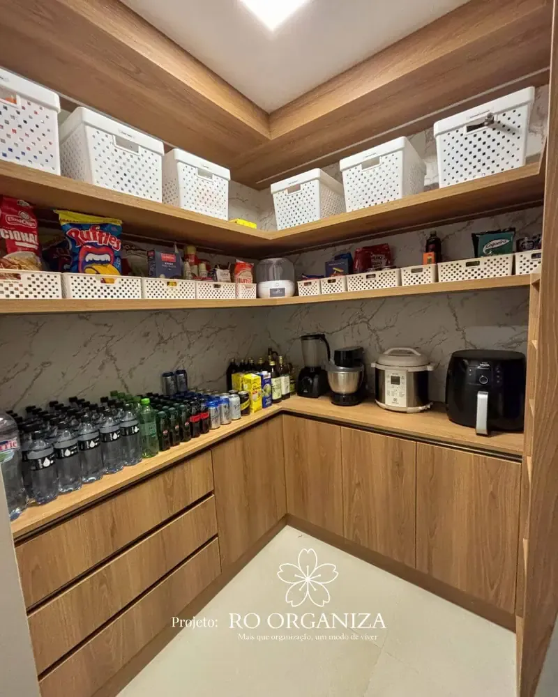 Projeto Ro Organiza 17